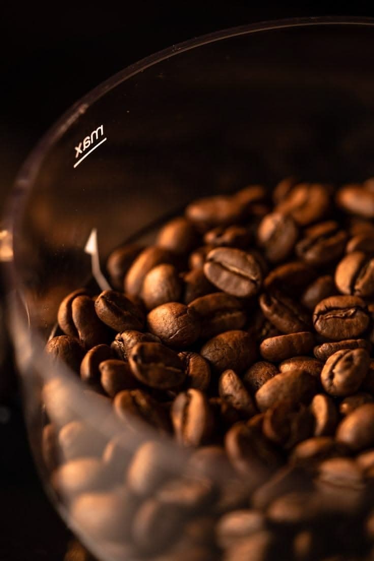 Granos de café tostado en el depósito del molinillo